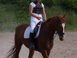 img-00361-533